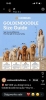 Goldendoodle prelepi štenci