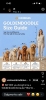 GOLDENDOODLE stenci