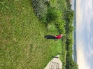 Košenje trave - Održavanje zelenih površina
