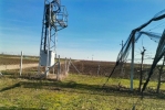 Voćnjak trešnje u punom rodu, 1.5 Ha, Srbobran