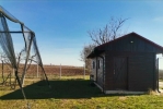 Voćnjak trešnje u punom rodu, 1.5 Ha, Srbobran